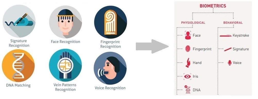 Biometric Authentication In 2020 Different Types And Trends - Vrogue